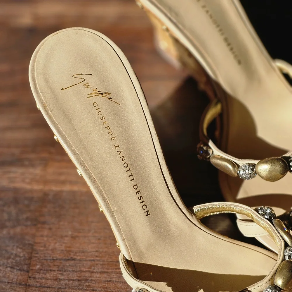 Giuseppe Zanotti giuseppe zanotti